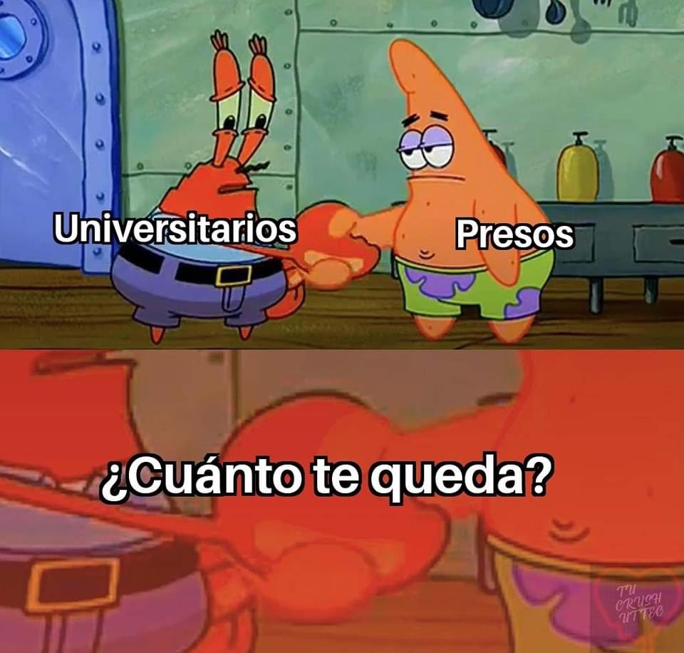 EnsedeCiencia's tweet photo. 🥹 https://t.co/HnFLlRI5h4