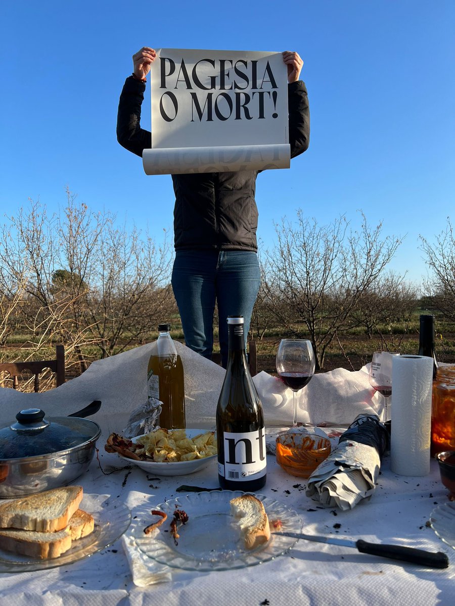 Cellers Tarroné tweet media