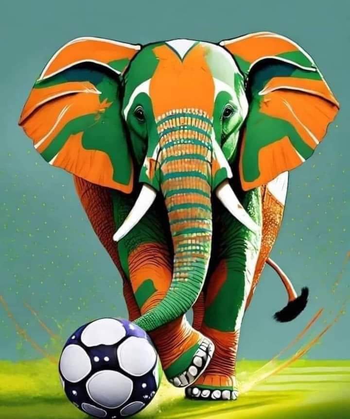 konate_momo's tweet image. Bonne chance à la côte d Ivoire