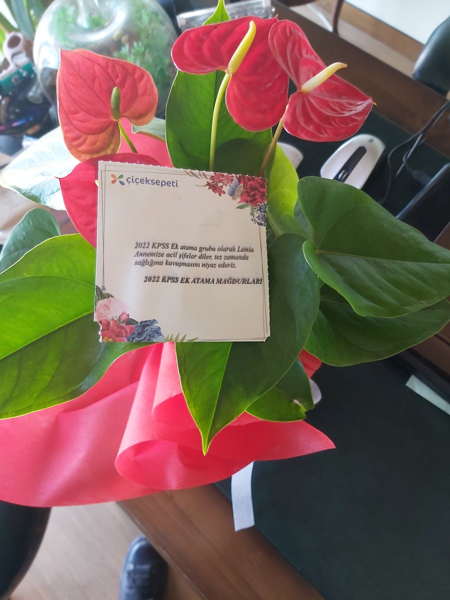 2022 KPSS ek atama mağdurları atanmayan öğretmenlerimizin yüksek nezaketine teşekkür ederim. Sizleri çok seviyorum. 💓
SN. CB <a href="/RTErdogan/">Recep Tayyip Erdoğan</a> dan sizlerin adına tekrar istirham ediyorum. 
Bu acıyı bir talimatınızla bitirebilirsiniz. SN <a href="/Mustafa_Destici/">Mustafa Destici</a> süreçten elini çekmemeli!