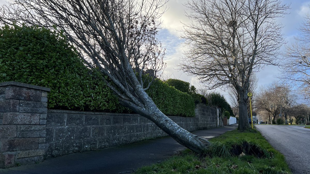 Morning after the night before in Rathfarnham, Dublin #StormIsha