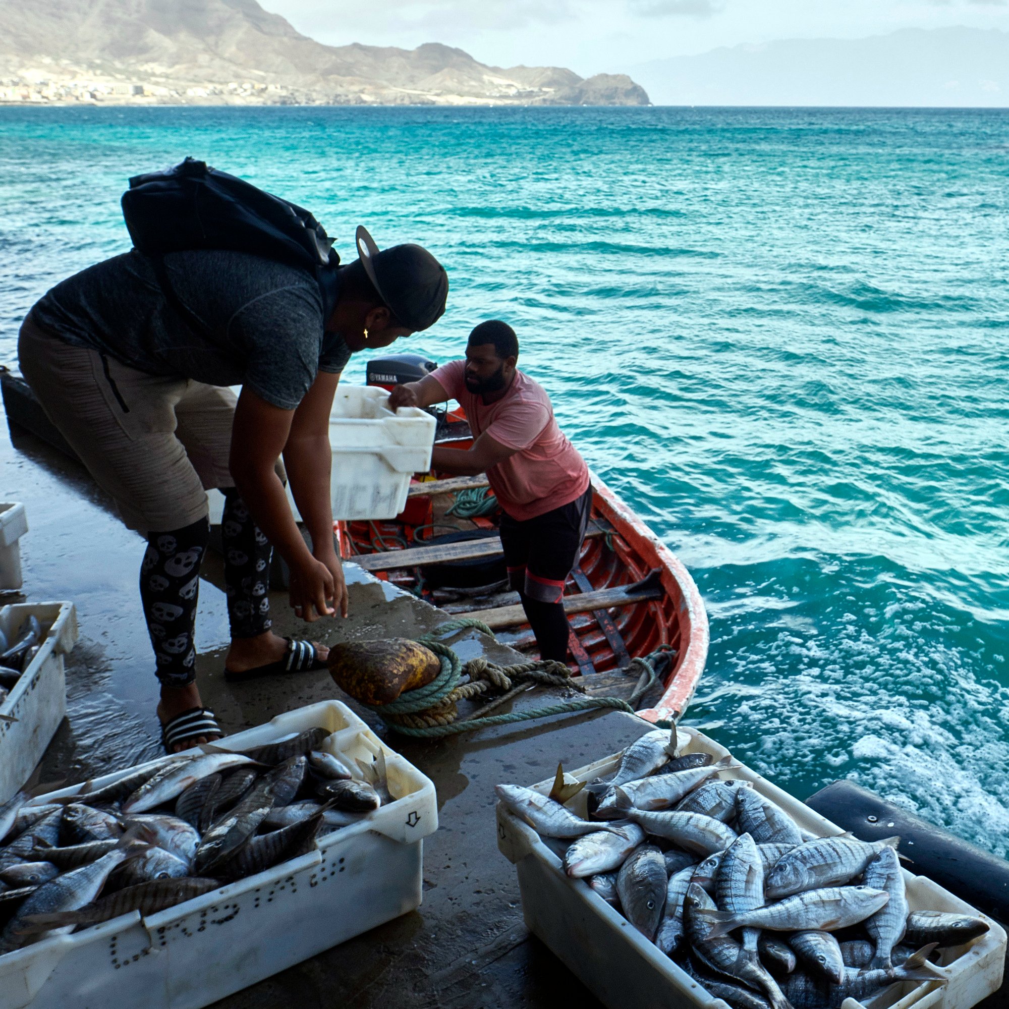 FAO in Africa on X: Globally, small-scale fisheries and fisheries