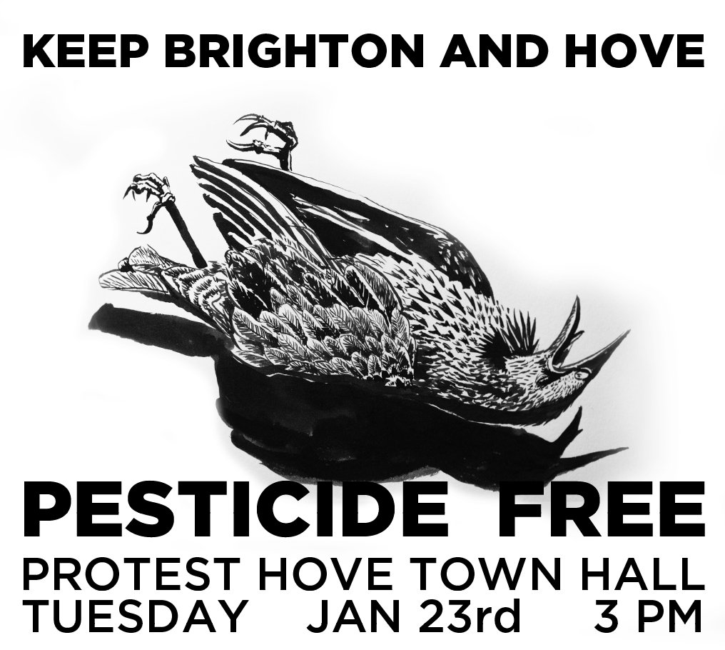 Sadly, Brighton &amp; Hove Council intend to return to using glyphosate in the streets. If you agree that this is foolish, come along to protest, all welcome!