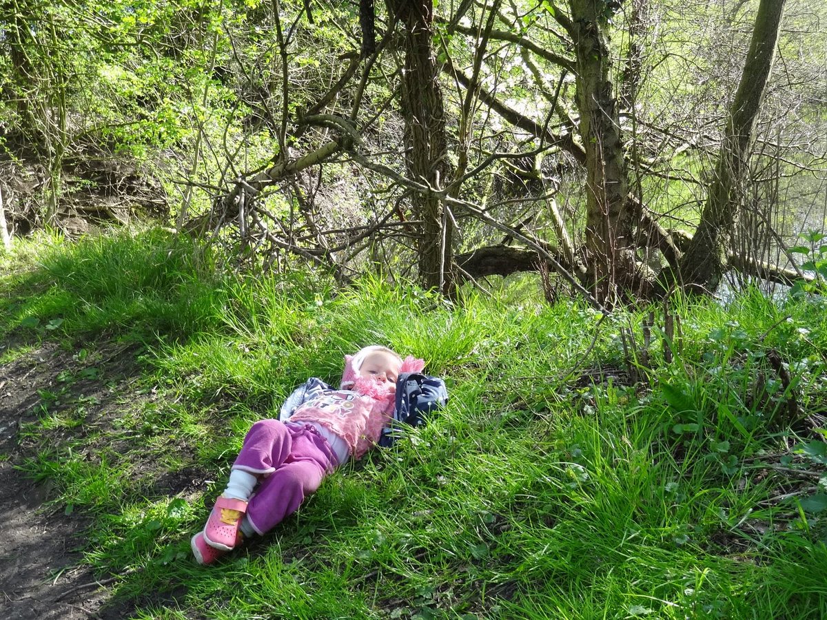 ☘ Reforestation and forest conservation plays an important role in green recovery through enhancing carbon sequestration and preserving biodiversity which supports livelihoods of local communities.
Please visit our website  > bit.ly/4272b9x
#Reforestation  #conservation