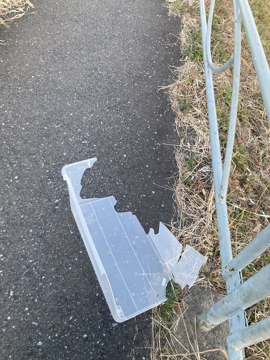 aBnderTheBridge's tweet photo. 不法投棄ではなかったやつ🧐 https://t.co/gVlqciuOg8