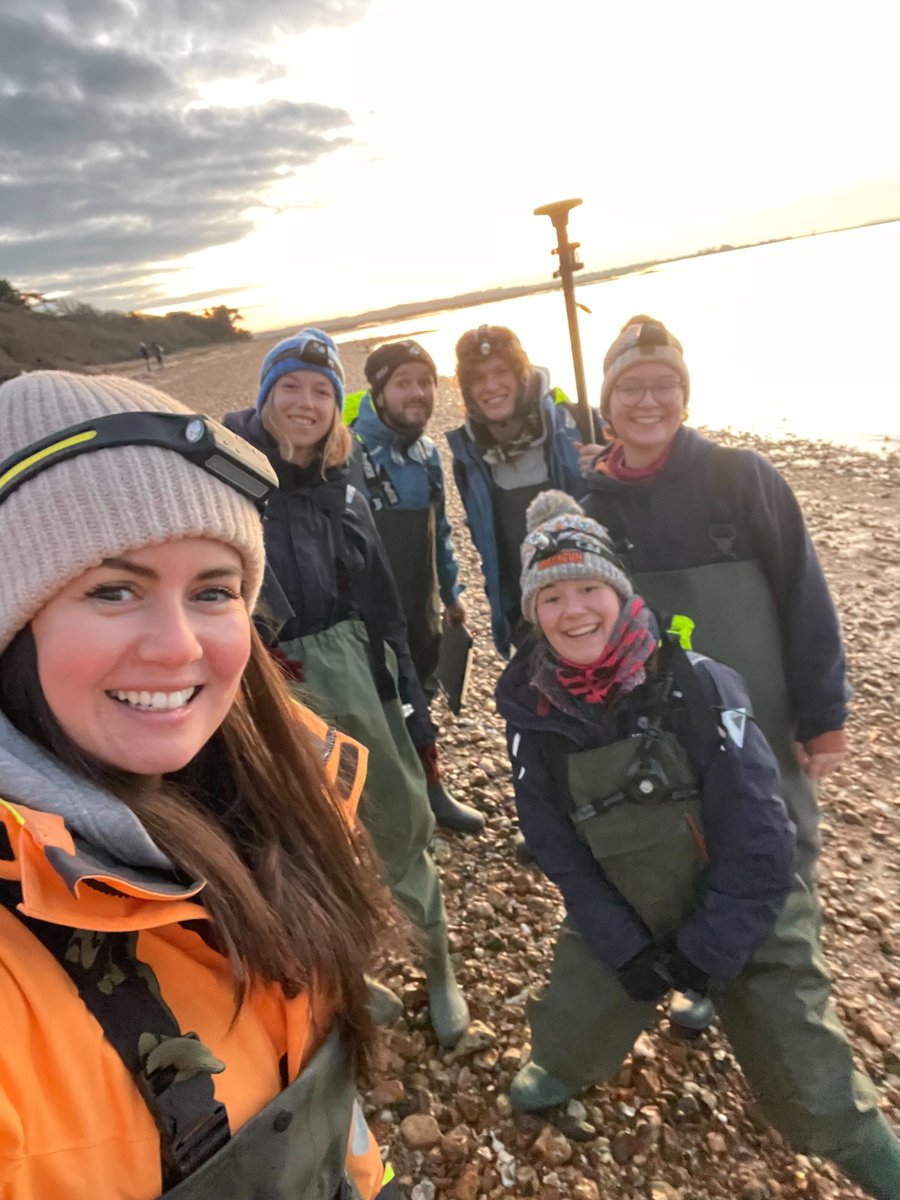 Project Seagrass tweet media