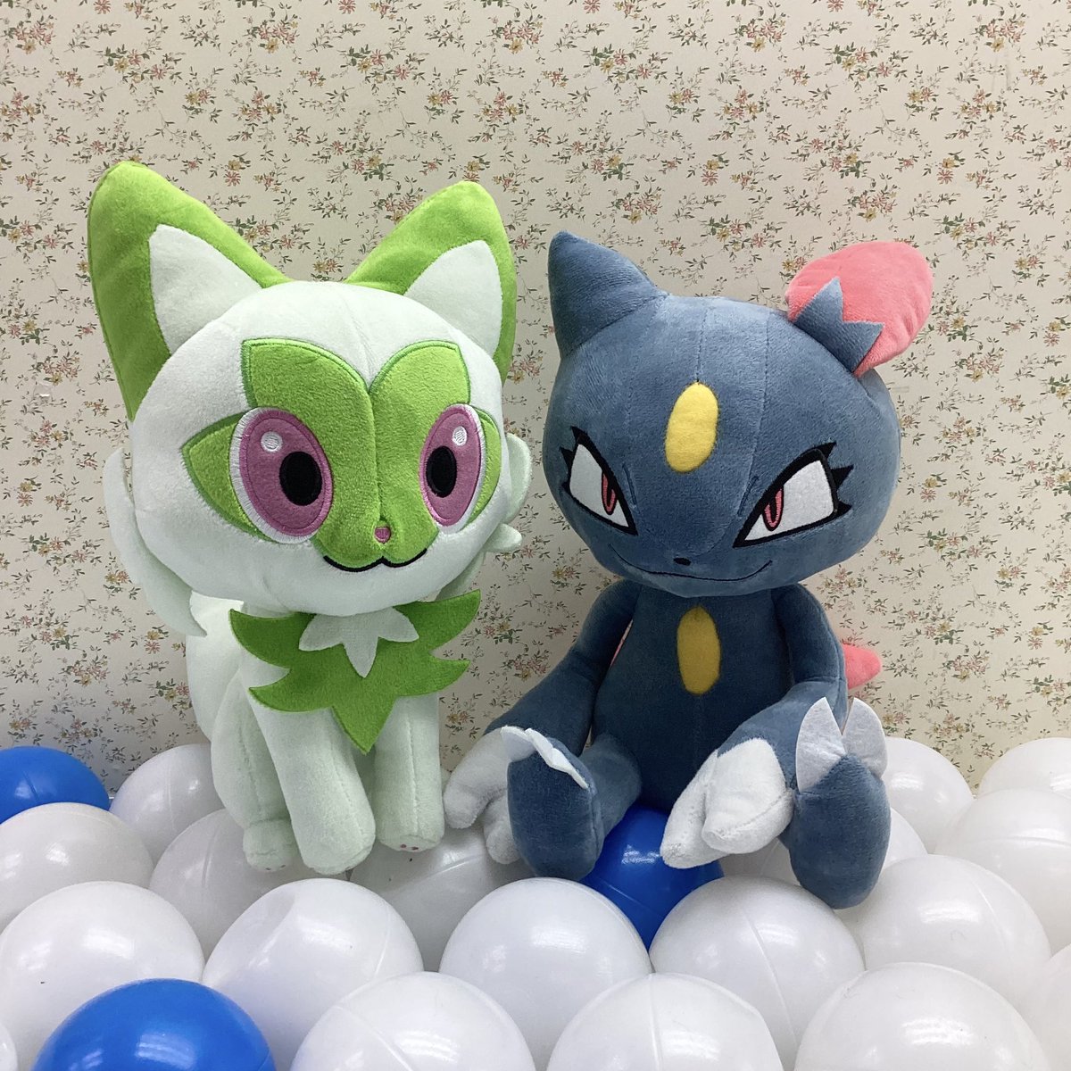 お久しぶりです✨トップラン東大阪です? 不具合でできなかった更新 