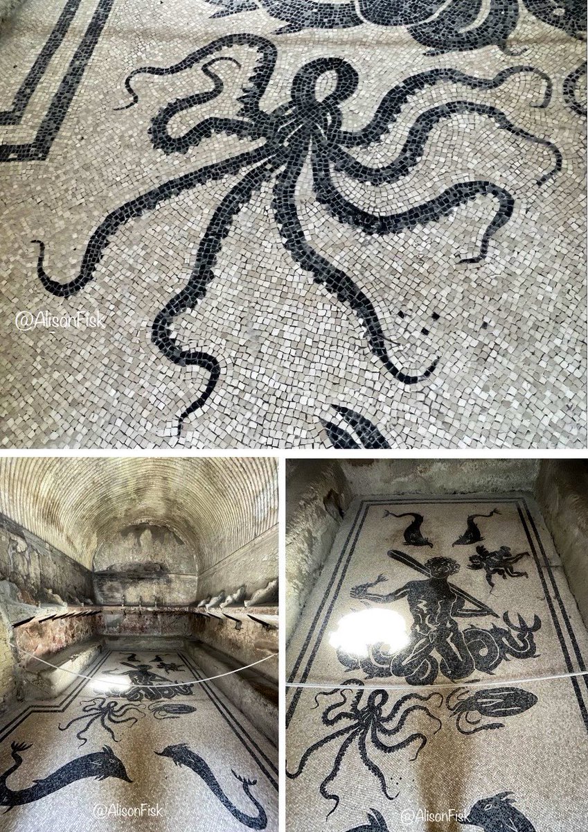 AlisonFisk's tweet photo. Spectacular black and white floor mosaic in the women’s changing room at the Central Baths, Herculaneum. Triton with octopus, cuttlefish, cherub and dolphins. Early 1st century AD.

Modern changing rooms could do with a #Roman style upgrade!

📸 my own

#MosaicMonday
#Archaeology https://t.co/v4hsERxD3h