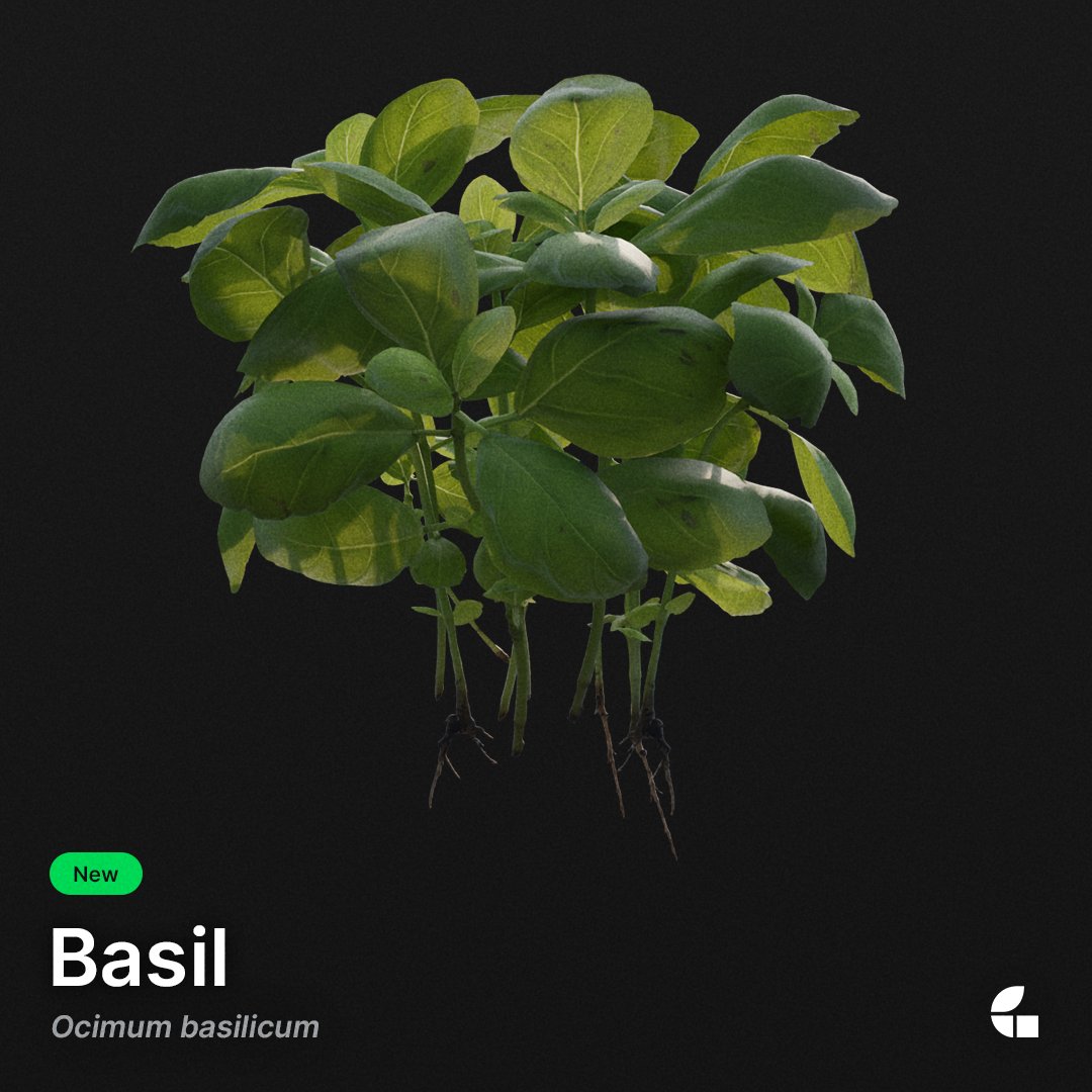 Discover beautiful and aromatic plants like the Basil of our brand new our brand Kitchen Herb ecotope, now available in our asset store.
hubs.li/Q02gY6H80

#new #ecotope #Kitchenherbs #herbs #graswald #madewithgraswald #release
