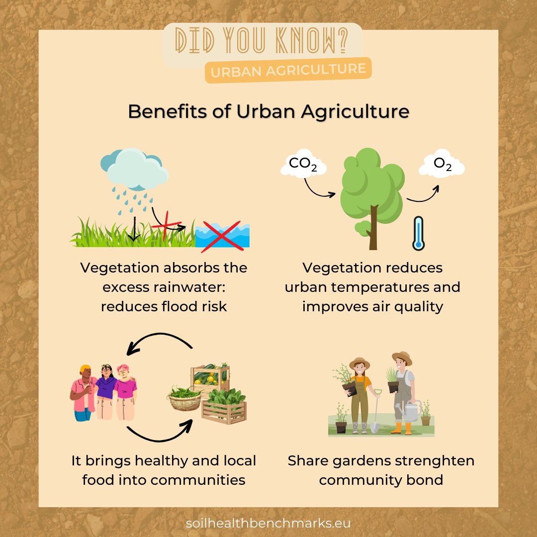 🤔 Did you know that agriculture is making its way into cities❔ 

Urban agriculture exists under lots of forms, and not only provides healthy &amp; local food, but also reduces the effets of climate change and natural risks 🌍 Let's make our cities greener and more sustainable! 🍃