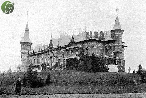 tomdiserens's tweet image. Białowieża Primeval Forest has been described as Europe’s Serengeti or Great Barrier Reef. Yet in most circles outside Poland, the forest remains little known.

I’d like to help change that, so here are six reasons why the forest is so precious ⬇️🧵