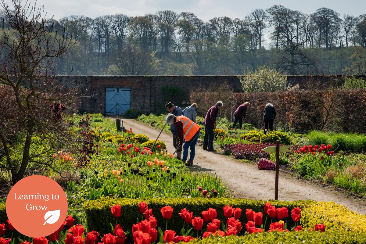 We’re delighted to kick 2024 off with a good news announcement. Helmsley Walled Garden has been awarded £130,000 from The National Lottery Community Fund to set up and fund Learning to Grow. Find out more about our latest project: bit.ly/3SsxuIX