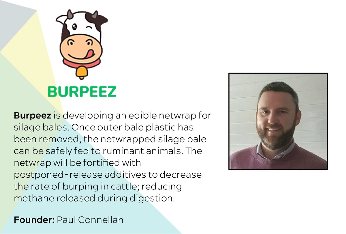 AgTechUCD Innovation Centre (@agtechucd) on Twitter photo We're looking forward to hearing Founder of <a href="/BurpeezIrl/">BURPEEZ</a>, <a href="/p_connellan/">Paul Connellan</a>, pitch at the end of the month for our 3rd AgTechUCD #Agccelerator Investor Pitch.
Burpeez are developing an edible netwrap for silage bales.
<a href="/NovaUCD/">NovaUCD</a> We're looking forward to hearing Founder of <a href="/BurpeezIrl/">BURPEEZ</a>, <a href="/p_connellan/">Paul Connellan</a>, pitch at the end of the month for our 3rd AgTechUCD #Agccelerator Investor Pitch.
Burpeez are developing an edible netwrap for silage bales.
<a href="/NovaUCD/">NovaUCD</a>