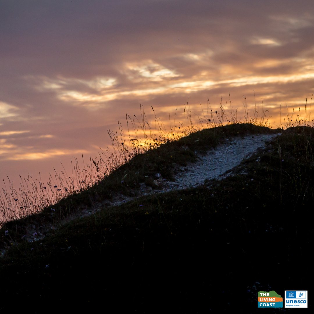 Brrr, chilly out there! Find cozy spots to warm up in #Lewes or explore the workshops @museumartcraft. Up for a winter walk? #FirleBeacon, #DevilsDyke, or the seafront await! Where do you love to spend crisp winter days? ❄️ 📸: Sarah Ryman