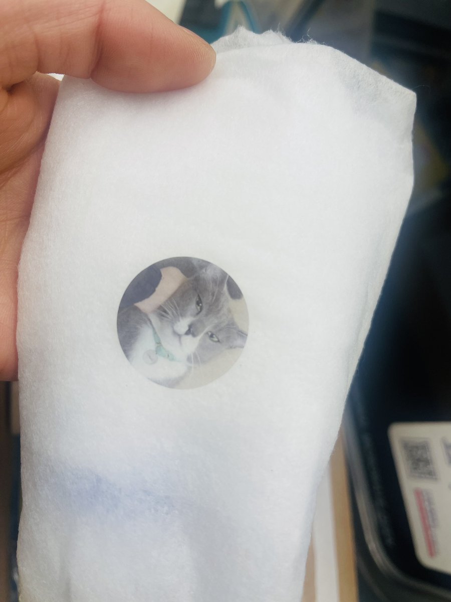 슈욤 the 슢숖샾 🧼🫧⌐ⓝ°ⓒ 🎵 청어#045🫧🐿️🐿️🐿️ tweet media