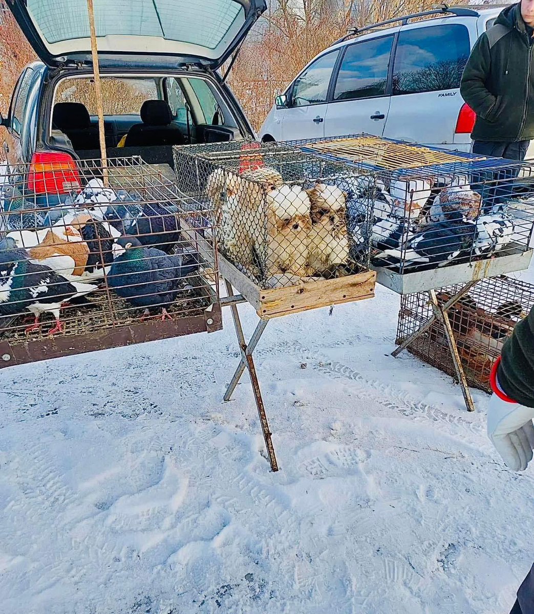 Damian Żurawski tweet media