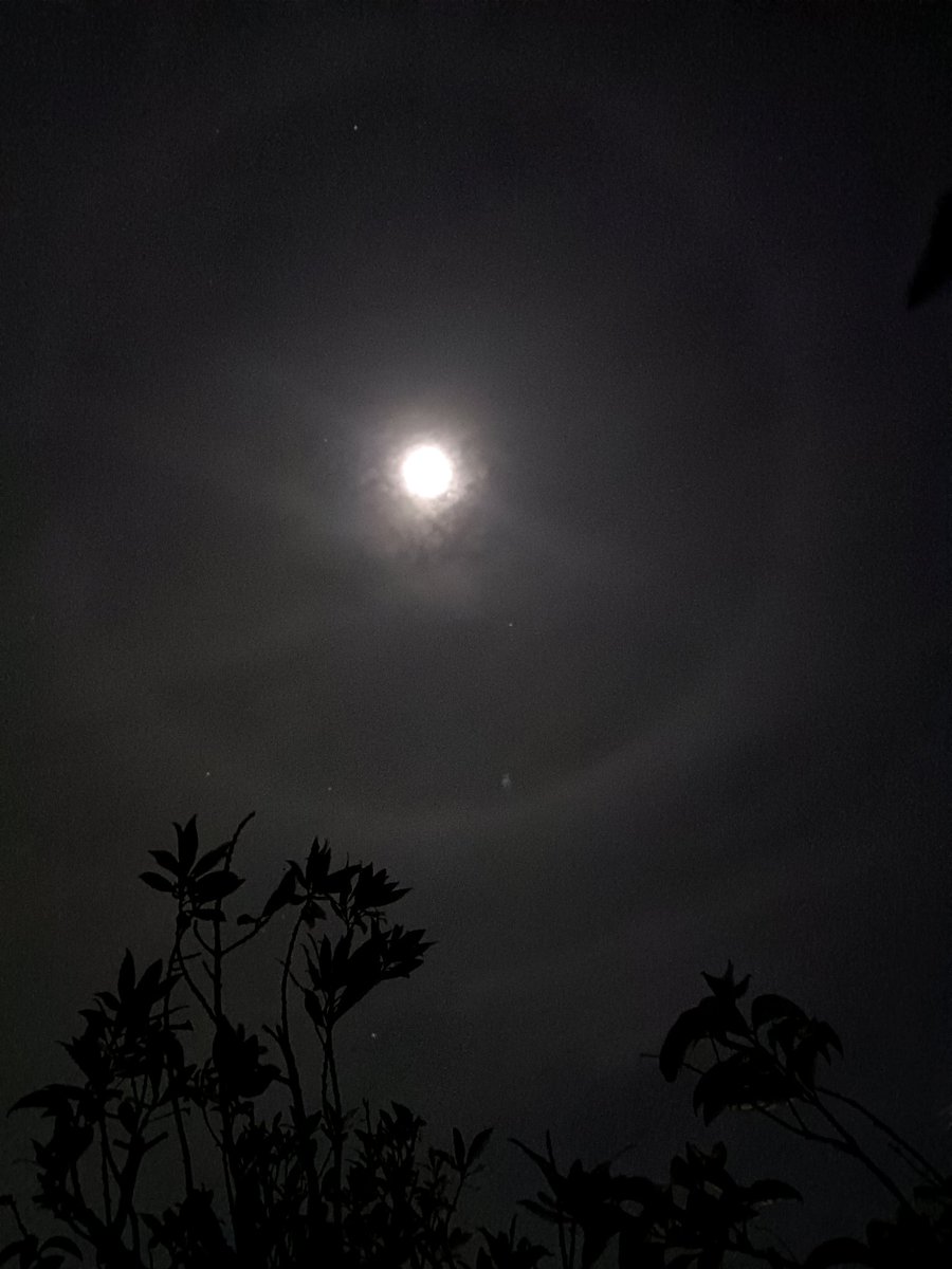 luna con anello di ghiaccio🤍
