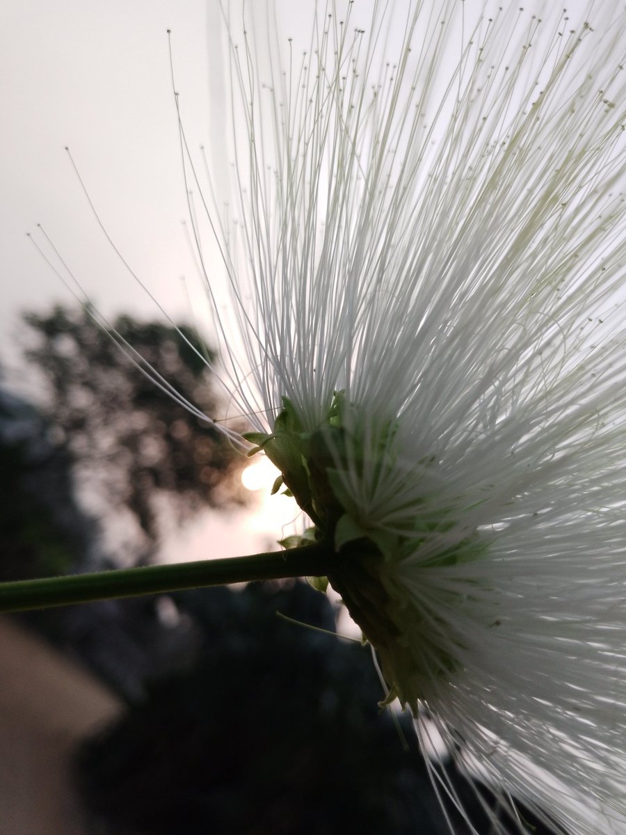 Web3_US's tweet image. GM