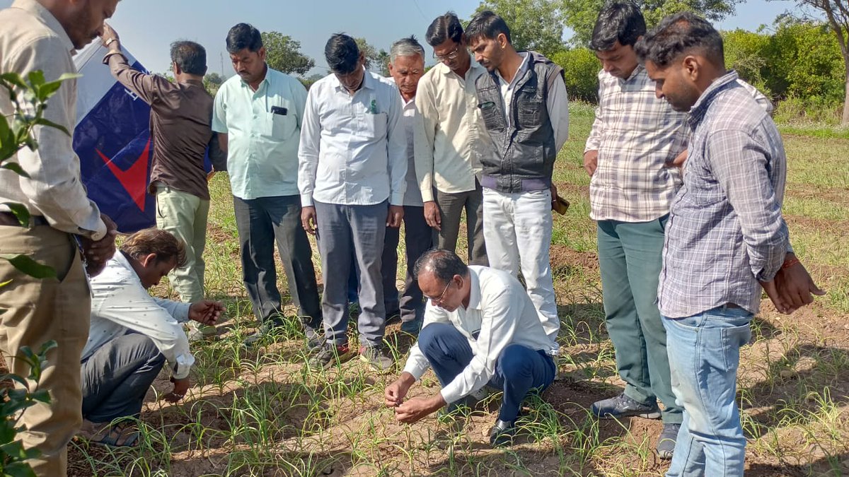 NimbusPipesLtd's tweet photo. 🌾 Field Update from, Mandsaur, MP! 🚜
 Empowering our proud growers with expert agronomy guidance for cultivating Garlic and Orange crops! 🍊From insightful discussions to hands-on experiences, we're committed to enhancing agricultural practices for a bountiful harvest. 🌾 https://t.co/uBK40nq7xh