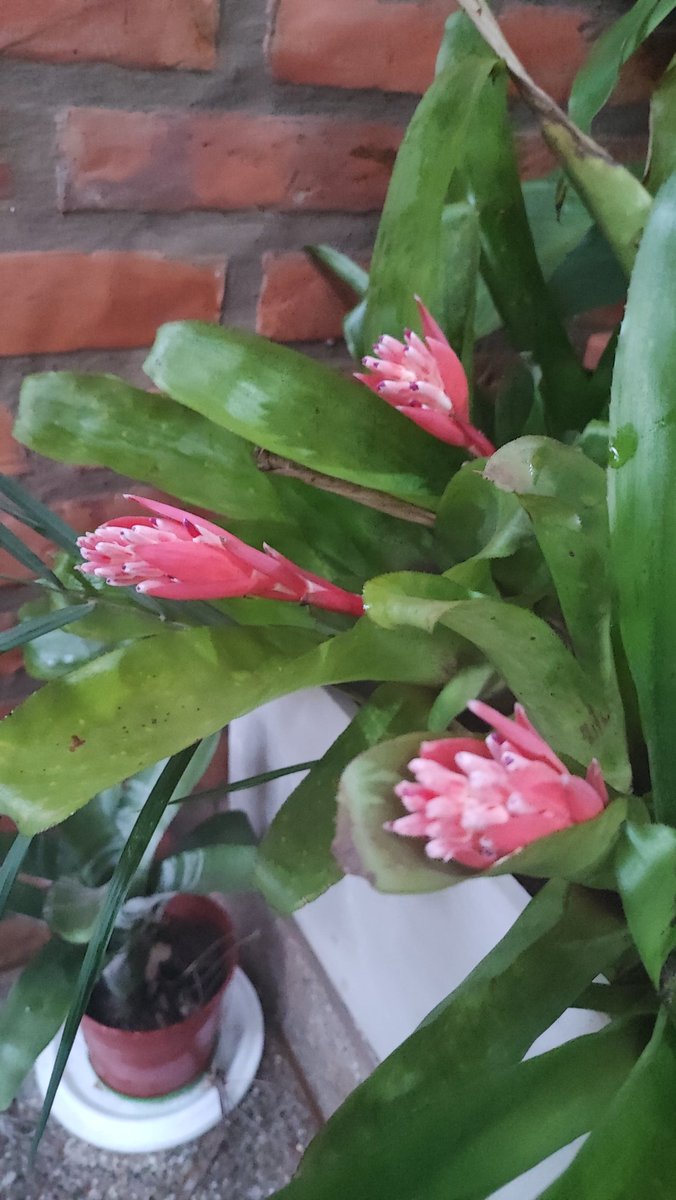 Buen día para vos !!!