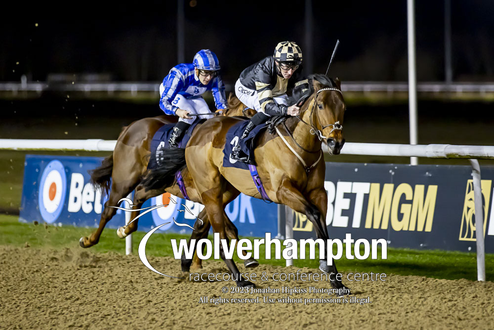 WolvesRaces's tweet photo. RACE 3 RESULT - Win 2,000,000 With @BetMGM's Golden Goals Restricted Novice Stakes

🥇 Roman Crown

Jockey: Daniel Tudhope
Trainer: @johnsonhoughton

📸 @WolvesRacesPics

#WolvesRaces | #WOLSNR https://t.co/E3oncSPfjX