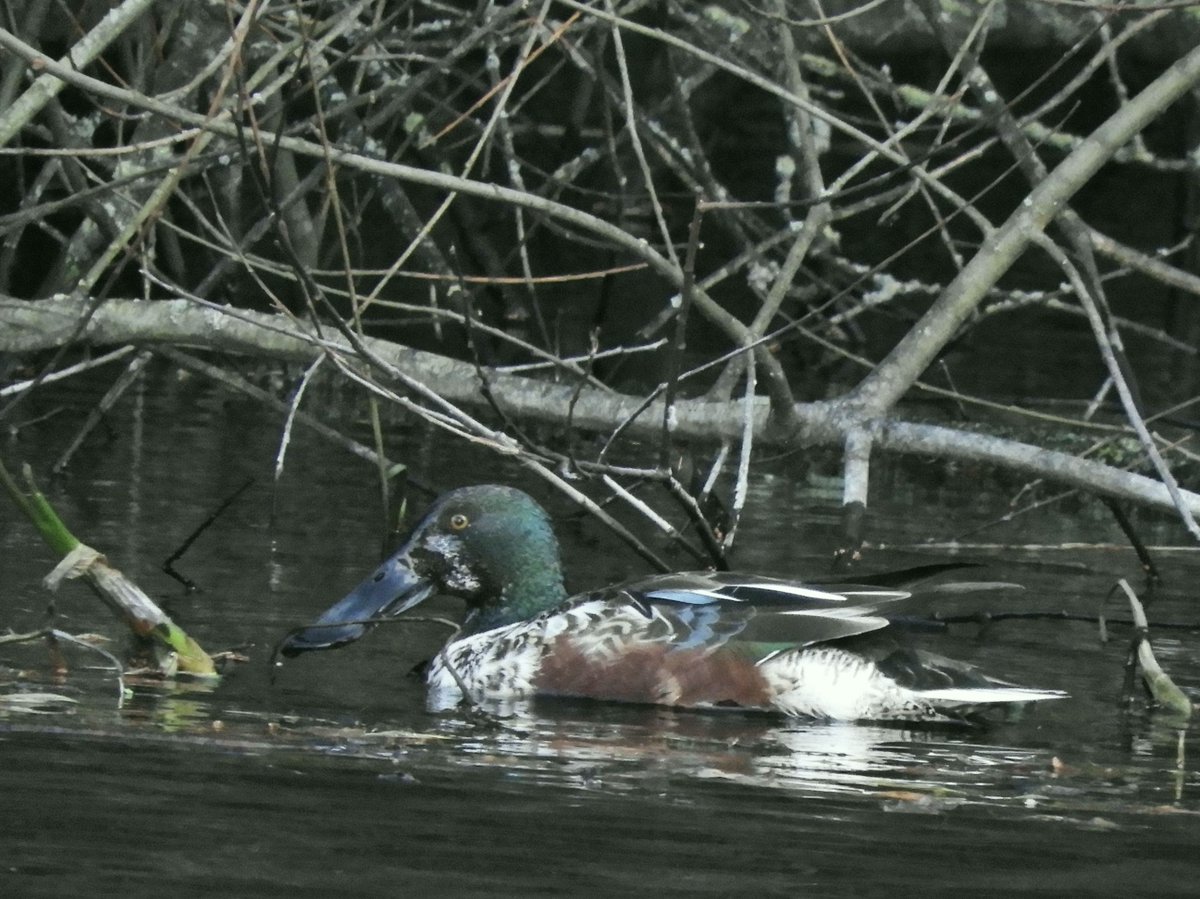 Phil Bull tweet media