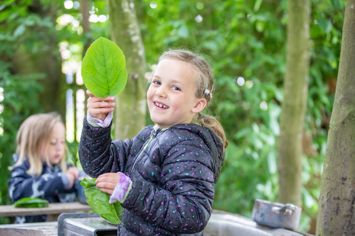 Halliard Trust tweet media