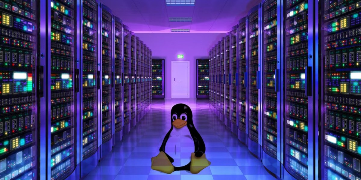 VIKHOST's tweet image. Linux Dedicated Server Hosting

Buy Linux Dedicated Server | Choose your Linux OS (Centos, Debian, Ubuntu, Fedora) | Speed 1 Gbps 🚀 | ⭐️ Scalable hardware ⭐️ Expert Tech Support 24/7

vikhost.com/linux-dedicate…

#VIKHOST #LinuxDedicatedServer #LinuxServer