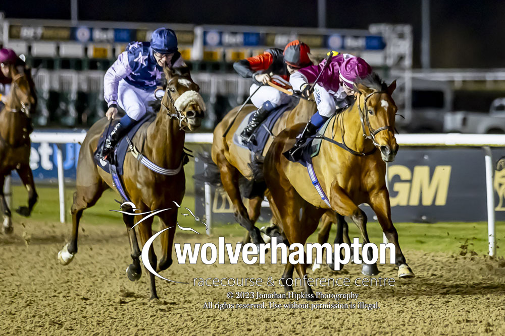 WolvesRaces's tweet photo. RACE 5 RESULT - Boost Your Acca At @BetMGM Handicap

🥇 English Spirit

Jockey: @loughnane_billy
Trainer: @RacingHeather

📸 @WolvesRacesPics

#WolvesRaces | #WOLSNR https://t.co/0waqkkb4IH