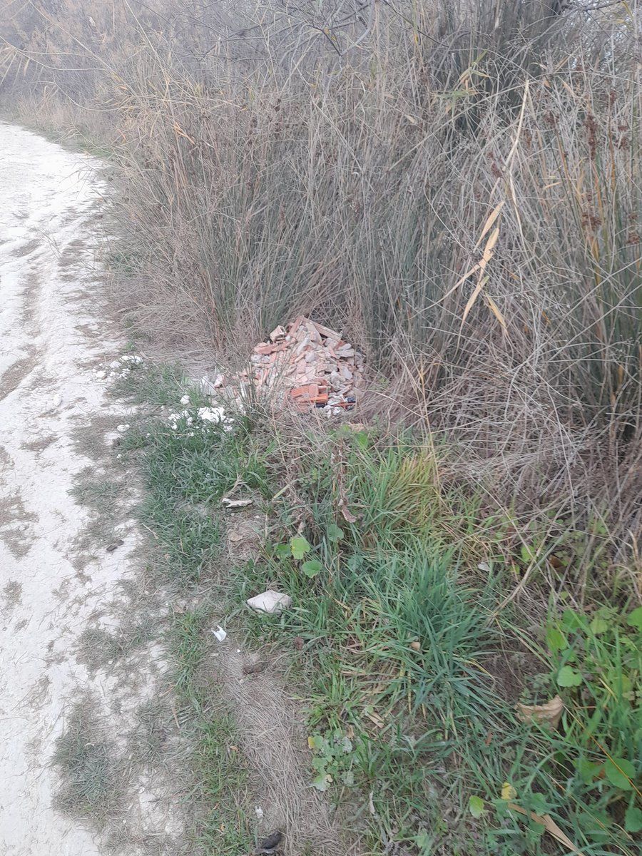 Pequeño vertido de escombros un par de capazos.🤬💩

Puede elegir tirarlos al lado de la acera (más fácil la limpieza) o al lado de la vegetación (las 2 opciones suponen una infracción)🤔👎🤦🏻‍♂️

No falla siempre la peor opción😭😭