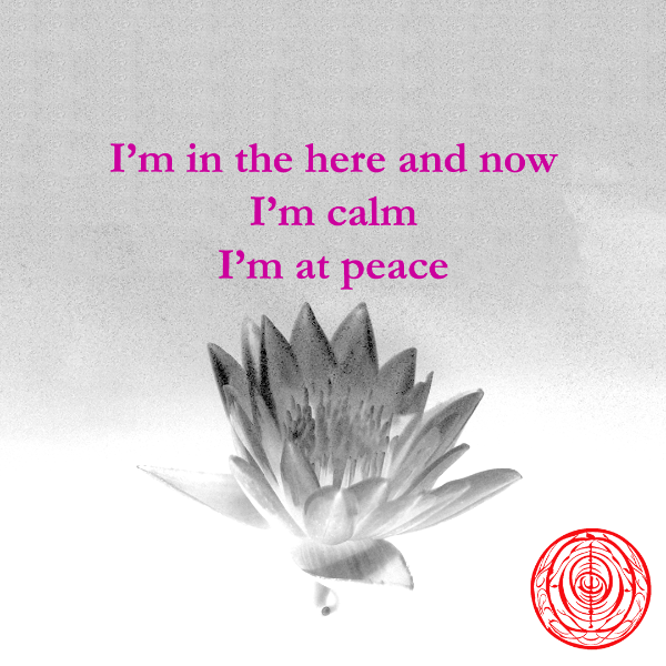 ImcVeronica's tweet photo. Have a great start to the week everyone!
If you have problems try this ⬇️ or maybe not 😂😂

https://t.co/0stqPiEWgp

#NFT #NFTCommunity #NFTcollector #NFTs #nftart #NFTCollection #NFTMarketplace #NFTartwork #Ethereum #meditationpills #CryptoArt https://t.co/CtGewXmk2R