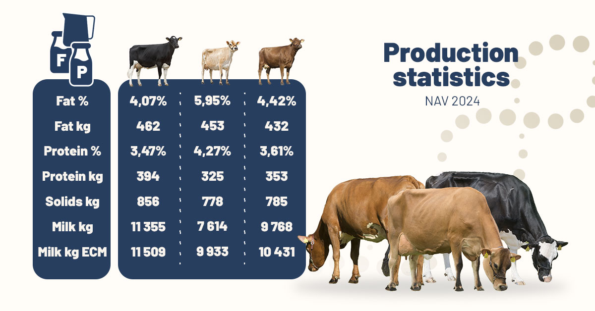Our innovative breeding programmes foster healthy, profitable cows that efficiently produce milk with the highest solids levels. They also have excellent fertility and a natural defence against disease.
Read more: okt.to/dS4EMG 
Production statistics are from NAV 2024