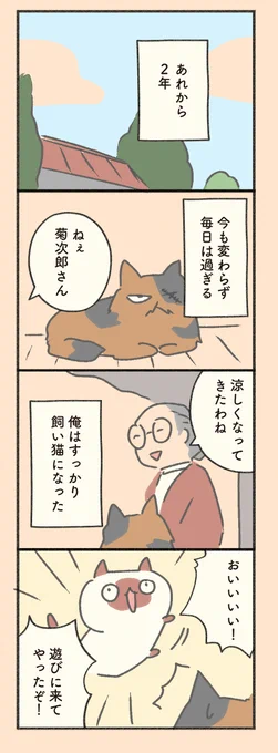 #もしも猫外伝 「菊次郎とふみ」2章その1     1日1ページ更新。
