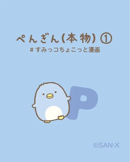 すみっコぐらし【公式】 on X: 