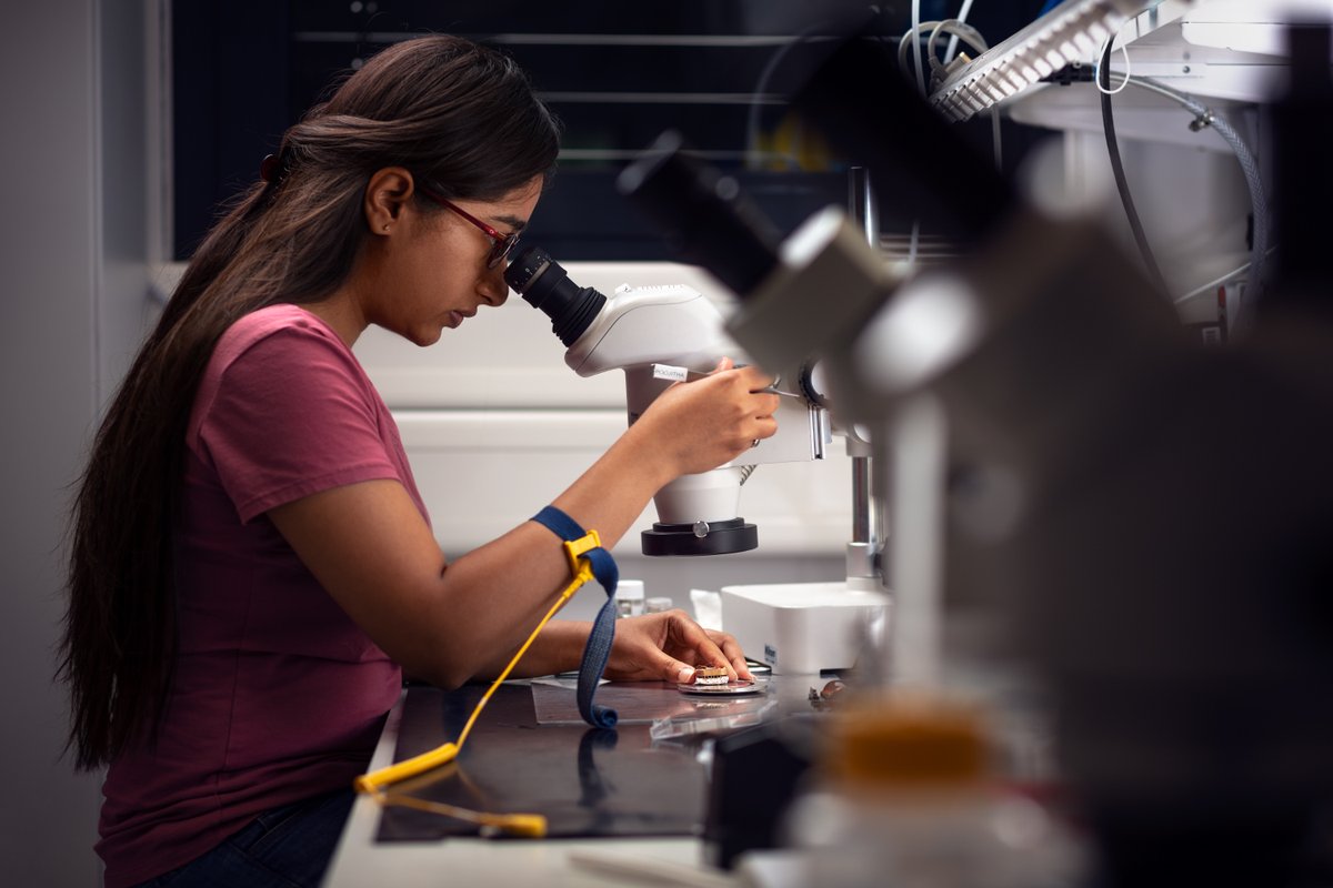 ML4Q_cluster's tweet photo. Du hast Spaß am #Experimentieren?
Du möchstest wissen, wie eine #Physikerin arbeitet? Dann besuche die #Schnupperuni #Physik. Das #zdi #Schülerlabor @UniCologne lädt ein in die Physikalischen Institute am 27.-28.2.
Bewerbungsphase jetzt offen: https://t.co/lKbUmuuBlQ https://t.co/d2oCjnXeiw