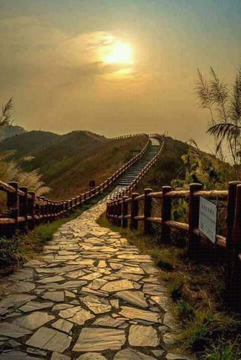 Prakash Raghunath Kelkar (@prakashkelkar1) on Twitter photo 