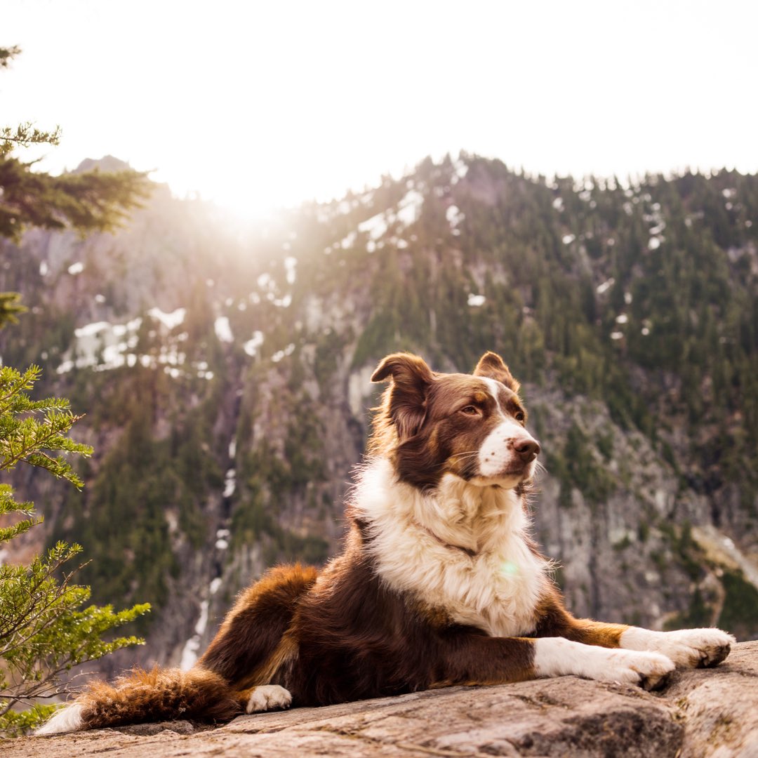 myshiftplanner's tweet image. Shift workers don’t always have weekends off like the 9-5 workers. 

Do you like having week days off instead? 

More lunch time offers, cheaper for travel and less crowds, long walks?

Let us know what you get up to. 🥗☕️

#myshiftplanner #shiftworker #shiftworklife