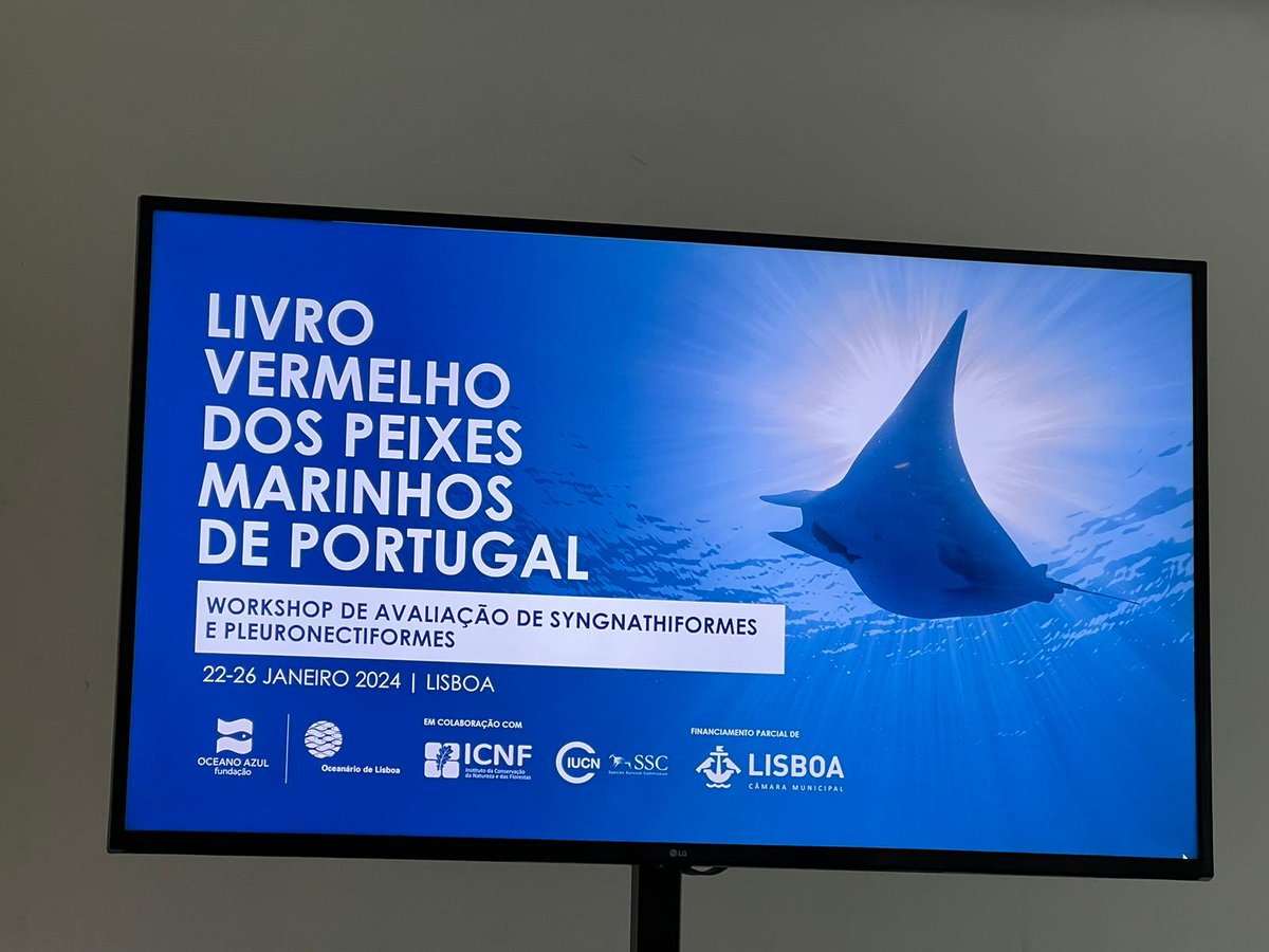Members of #Eurosyng are participating in the evaluation of the #syngnathids of #Portugal 🇵🇹 in #Lisboa
<a href="/OceanarioL/">Oceanário de Lisboa</a> <a href="/LvPeixes/">LVPeixes</a>