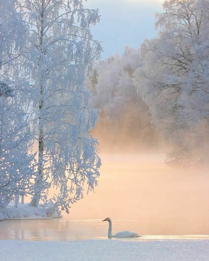 Winter wonderland ❄️