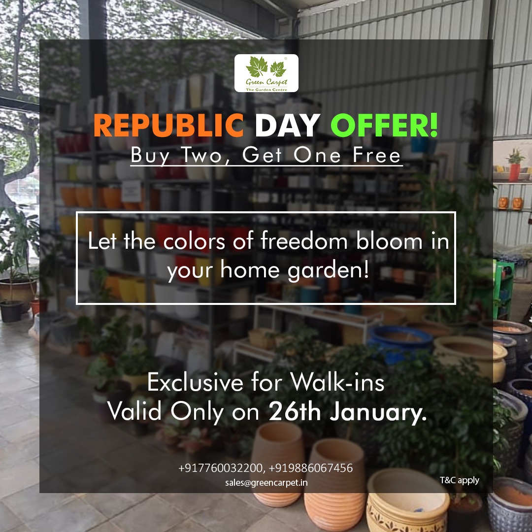 Double the Green Delight this Republic Day! 🌿 Buy two, get another FREE! Let freedom blossom in your home garden with this exclusive offer. 🌈

#greencarpet #plantlovers #republicdayoffer #exclusiveoffer #Buy2Get1Free #planters #bangaloreplanters #plantblogger #homedecor