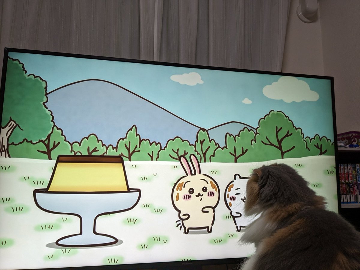 MoKo_1_16's tweet photo. そして初めてちいかわ見た
面白かった
ね、もこ

#ねこ #猫 #もこ #スコティッシュフォールド #猫のいる幸せ #猫のいる生活 https://t.co/LxRNY6vmww