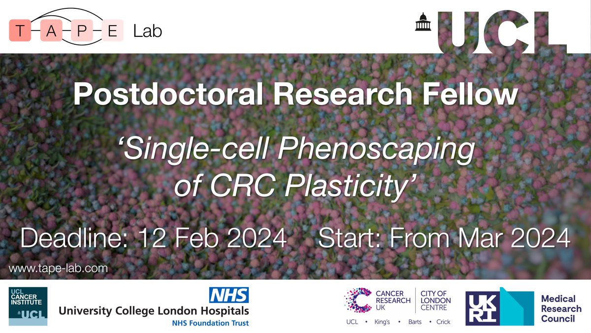 Chris Tape (@christophertape) on Twitter photo We are hiring!
Postdoctoral Research Fellow: 'Single-cell Phenoscaping of CRC plasticity'
Funded by <a href="/CR_UK/">Cancer Research UK</a>, based at <a href="/uclcancer/">UCL Cancer Institute</a>
Pls. RT!
ucl.ac.uk/work-at-ucl/se… We are hiring!
Postdoctoral Research Fellow: 'Single-cell Phenoscaping of CRC plasticity'
Funded by <a href="/CR_UK/">Cancer Research UK</a>, based at <a href="/uclcancer/">UCL Cancer Institute</a>
Pls. RT!
ucl.ac.uk/work-at-ucl/se…