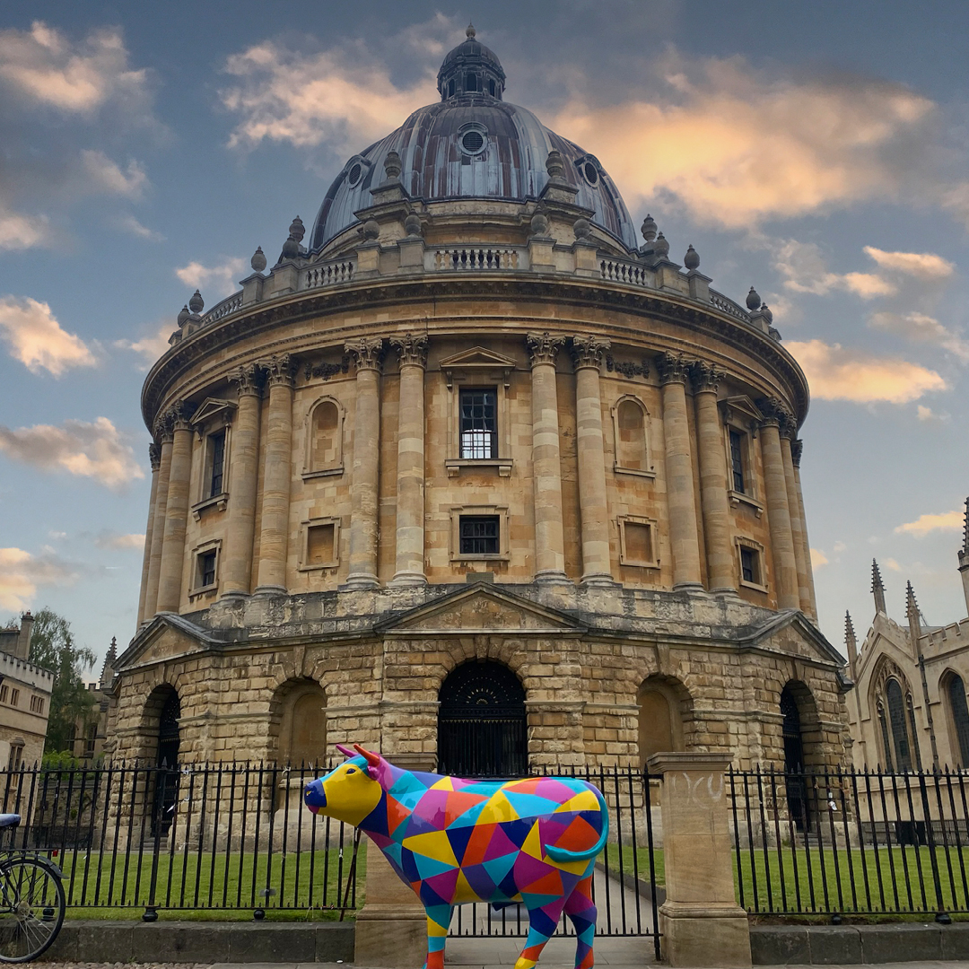 🐂 You may have seen 'Oxley' travelling around #Oxford recently! 👨‍🎨 Our very own Ox will be coming soon, and can't wait to show you our unique design! 📲 Make sure you're following @oxtrail2024 for updates ahead of the exciting campaign. #OCFC #oxtrail2024