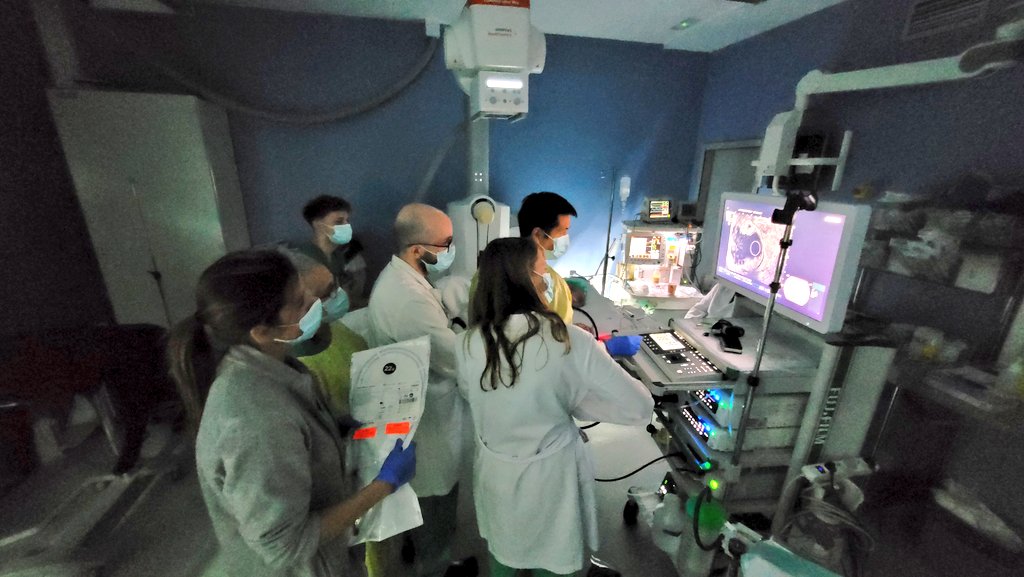 Francesc Bas Cutrina tweet media