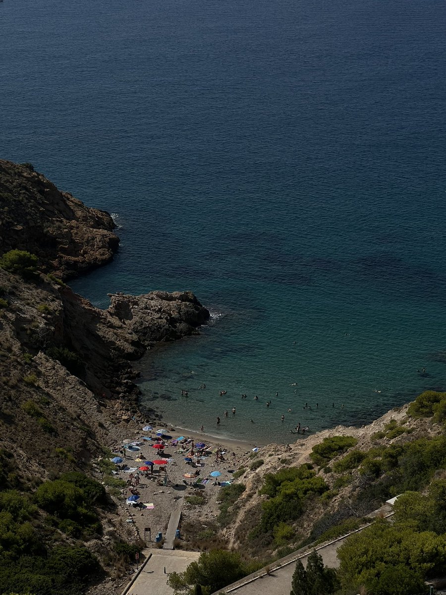 agvllo's tweet photo. Tengo ganas de verano 🪸 https://t.co/Rcsqtt19mU