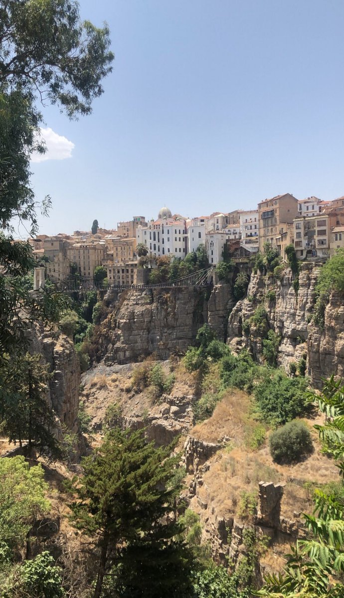 Peace 🇩🇿 tweet media