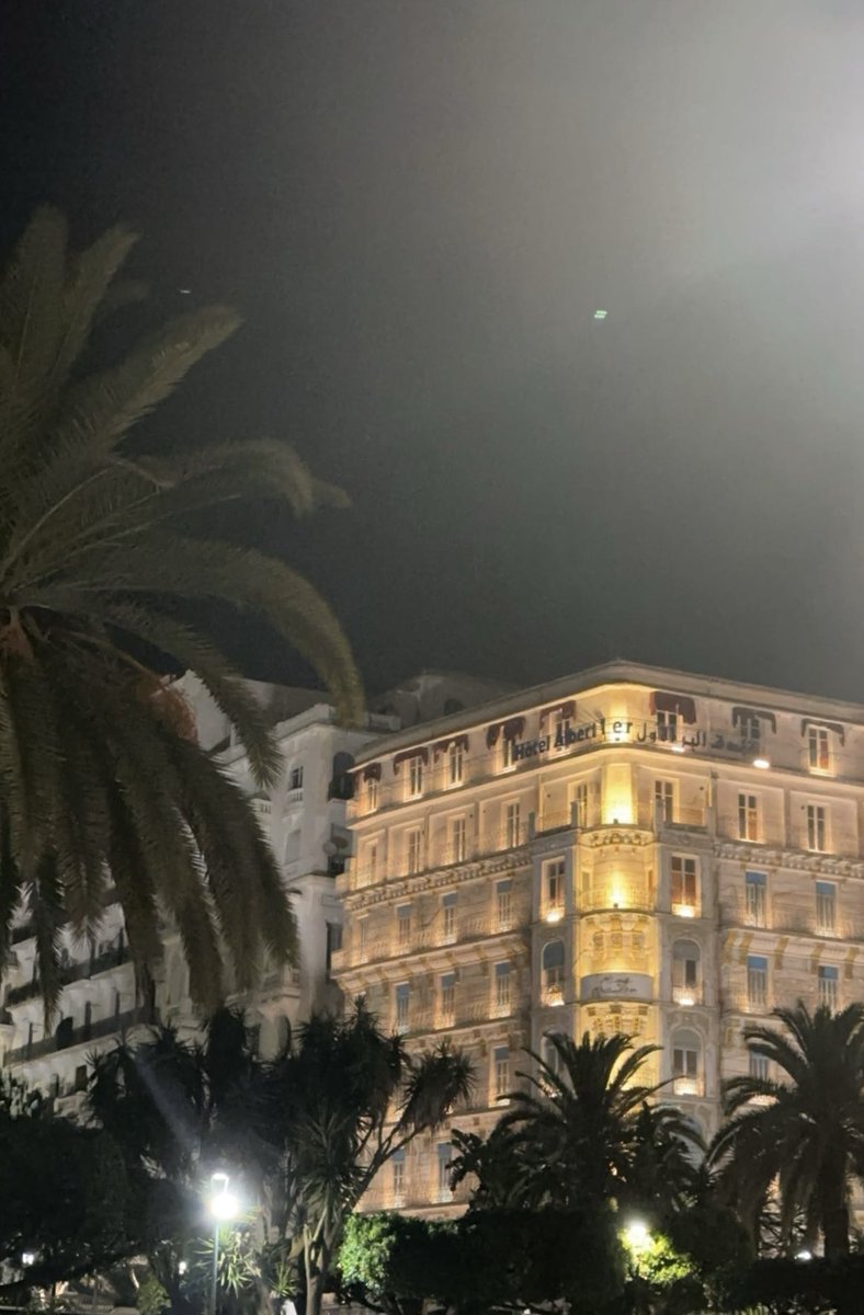 Peace 🇩🇿 tweet media