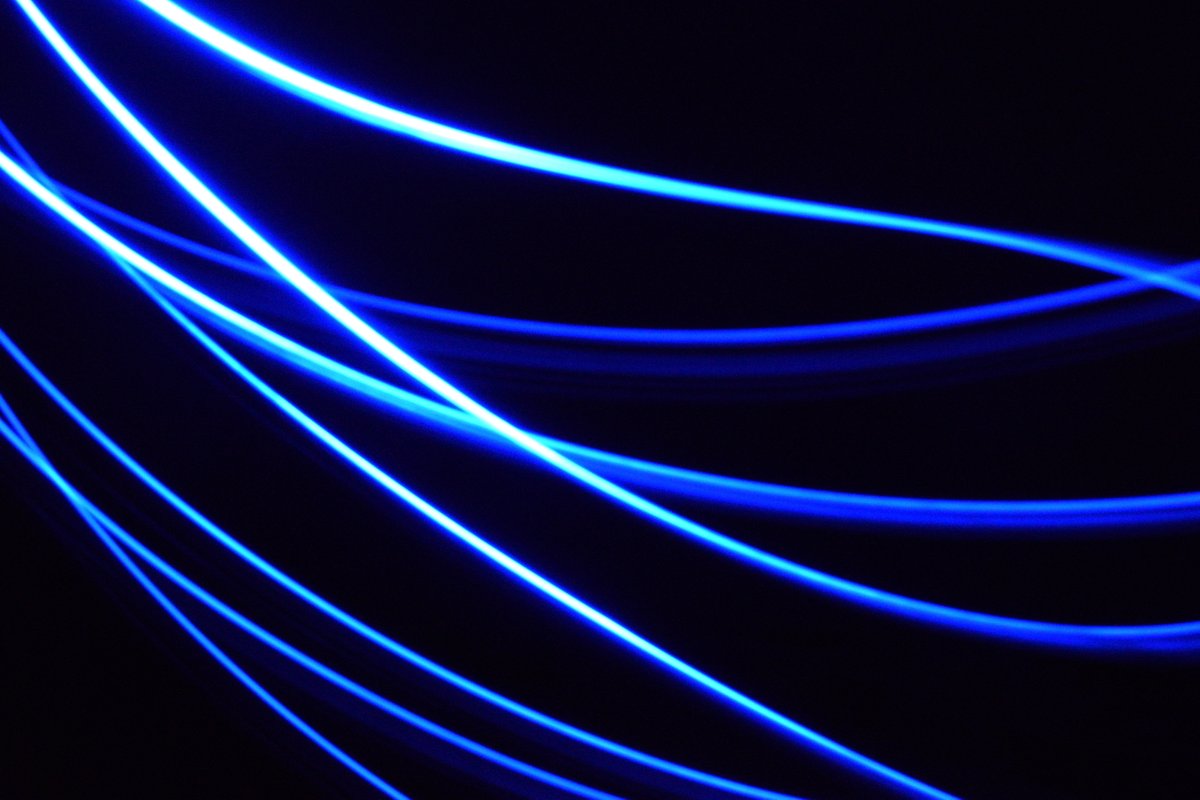 Phenotypeca tweet media