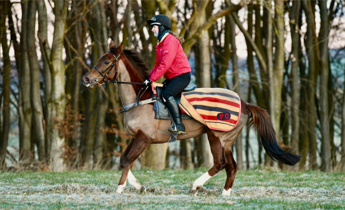 Post Rider (Postponed ex Tioga Pass) goes to Kempton for the Unibet Zero% Mission Maiden Stakes, due off at 1.30 p.m. today. Jockey Hector Crouch rides her and they race over 7 furlongs.