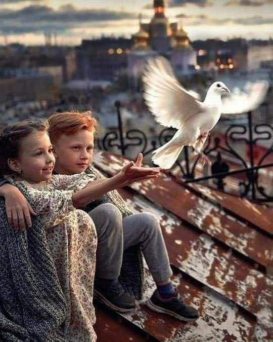 هناك أشخاص يُرافقونا ،
و هناك أشخاص يُفارقونا
نفس الحروف للعبارتين لكن وقعهما على الروح مُختلف بقدر ما تزرع الأولى ربيعاً دافئاً ، 
يُؤنس وحدتنا ، 
بقدر ما تجعل منه الثانية خريفاً بارداً ،
ترتجف معه أغصاننا .!! 
و هكذا يستمر مسلسل سقوط الأوراق من شجرة أحِبَّتِنا...💜